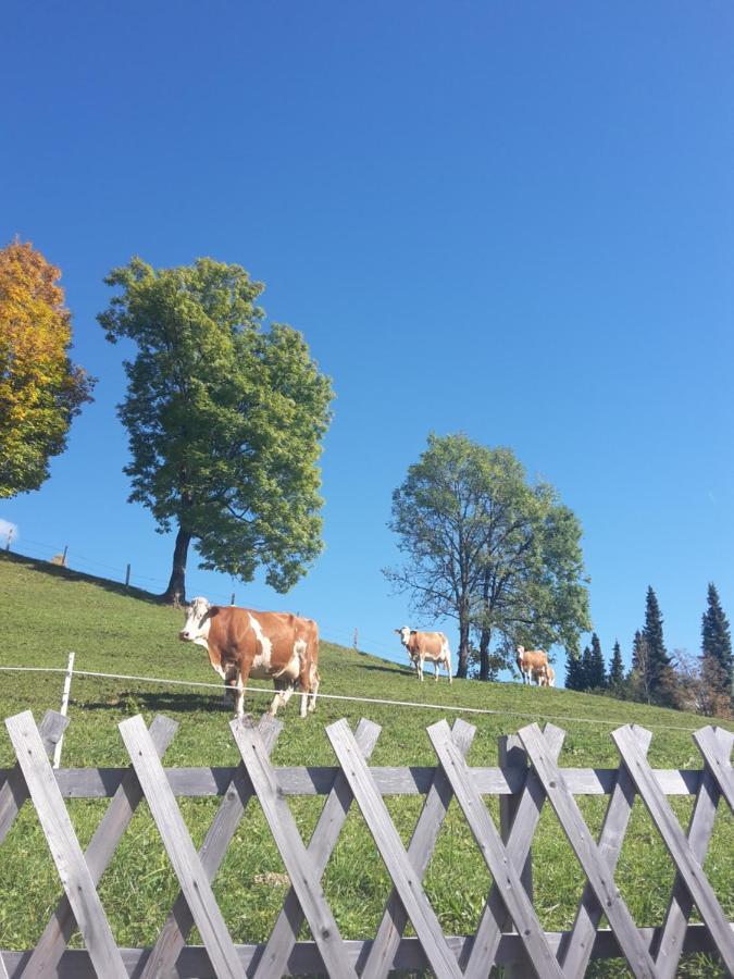 Bergpension-Ebental Brixen im Thale Exterior foto