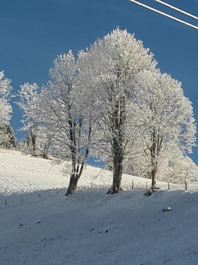 Bergpension-Ebental Brixen im Thale Exterior foto