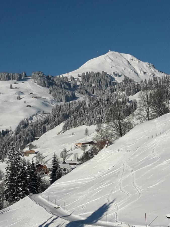 Bergpension-Ebental Brixen im Thale Exterior foto