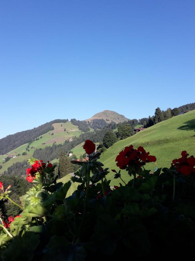 Bergpension-Ebental Brixen im Thale Exterior foto